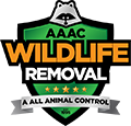 West Allis Wildlife Removal